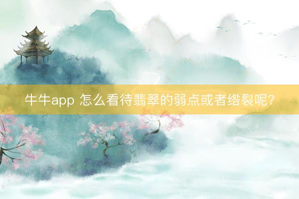 牛牛app 怎么看待翡翠的弱点或者绺裂呢?