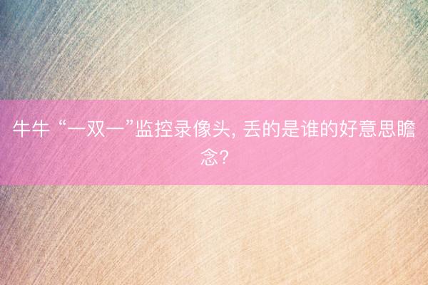 牛牛 “一双一”监控录像头, 丢的是谁的好意思瞻念?