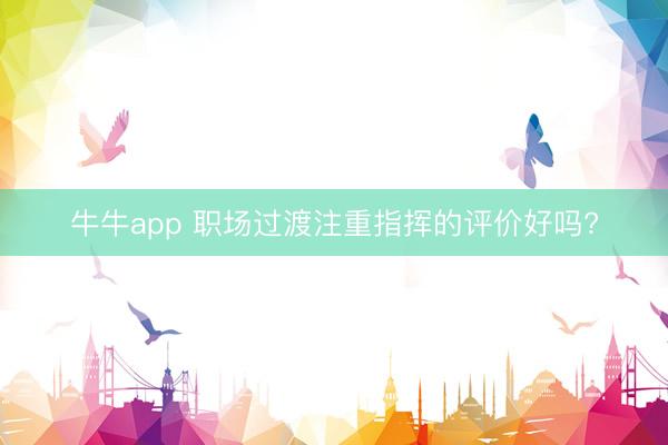 牛牛app 职场过渡注重指挥的评价好吗?