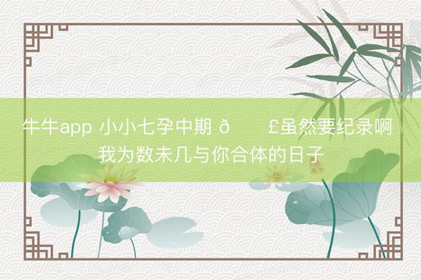 牛牛app 小小七孕中期 🐣虽然要纪录啊 我为数未几与你合体的日子