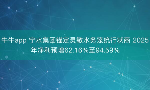 牛牛app 宁水集团锚定灵敏水务笼统行状商 2025年净利预增62.16%至94.59%