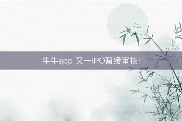 牛牛app 又一IPO暂缓审核!