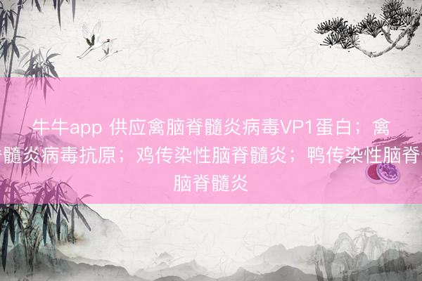 牛牛app 供应禽脑脊髓炎病毒VP1蛋白;禽脑脊髓炎病毒抗原;鸡传染性脑脊髓炎;鸭传染性脑脊髓炎