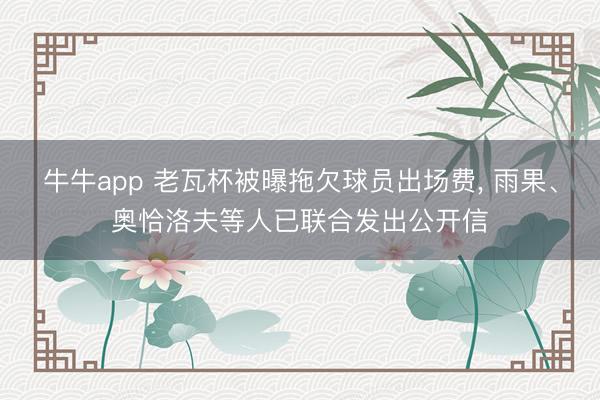 牛牛app 老瓦杯被曝拖欠球员出场费, 雨果、奥恰洛夫等人已联合发出公开信