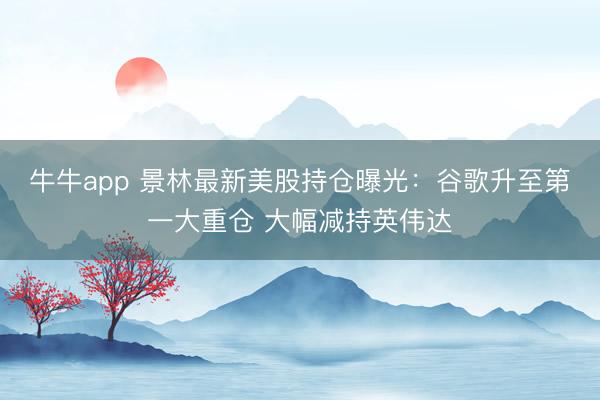 牛牛app 景林最新美股持仓曝光:谷歌升至第一大重仓 大幅减持英伟达