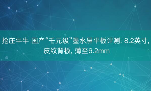 抢庄牛牛 国产“千元级”墨水屏平板评测: 8.2英寸， 皮纹背板， 薄至6.2mm