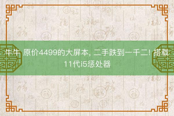 牛牛 原价4499的大屏本， 二手跌到一千二! 搭载11代i5惩处器