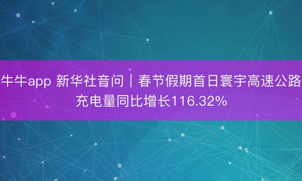 牛牛app 新华社音问|春节假期首日寰宇高速公路充电量同比增长116.32%