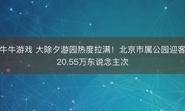 牛牛游戏 大除夕游园热度拉满！北京市属公园迎客20.55万东说念主次