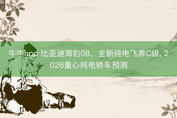 牛牛app 比亚迪海豹08、全新纯电飞奔C级, 2026重心纯电轿车预测