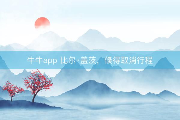 牛牛app 比尔·盖茨,倏得取消行程