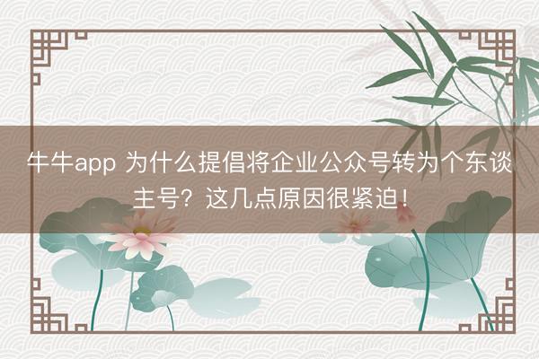 牛牛app 为什么提倡将企业公众号转为个东谈主号?这几点原因很紧迫!