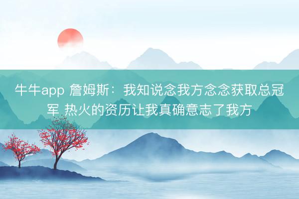 牛牛app 詹姆斯：我知说念我方念念获取总冠军 热火的资历让我真确意志了我方