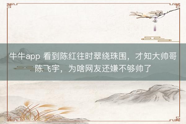 牛牛app 看到陈红往时翠绕珠围，才知大帅哥陈飞宇，为啥网友还嫌不够帅了