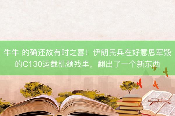 牛牛 的确还故有时之喜！伊朗民兵在好意思军毁的C130运载机颓残里，翻出了一个新东西