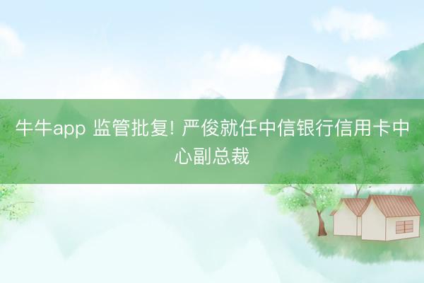 牛牛app 监管批复! 严俊就任中信银行信用卡中心副总裁