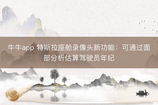 牛牛app 特斯拉座舱录像头新功能：可通过面部分析估算驾驶员年纪
