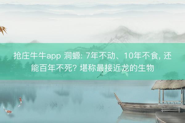 抢庄牛牛app 洞螈: 7年不动、10年不食， 还能百年不死? 堪称最接近龙的生物