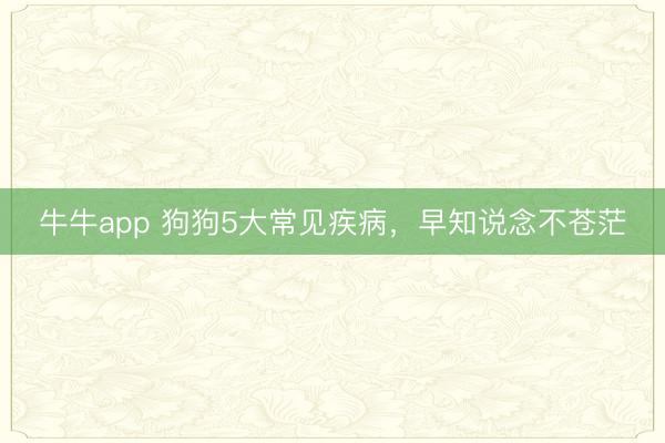 牛牛app 狗狗5大常见疾病，早知说念不苍茫