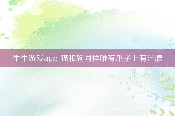 牛牛游戏app 猫和狗同样唯有爪子上有汗腺