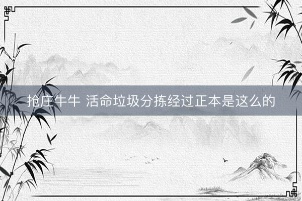 抢庄牛牛 活命垃圾分拣经过正本是这么的