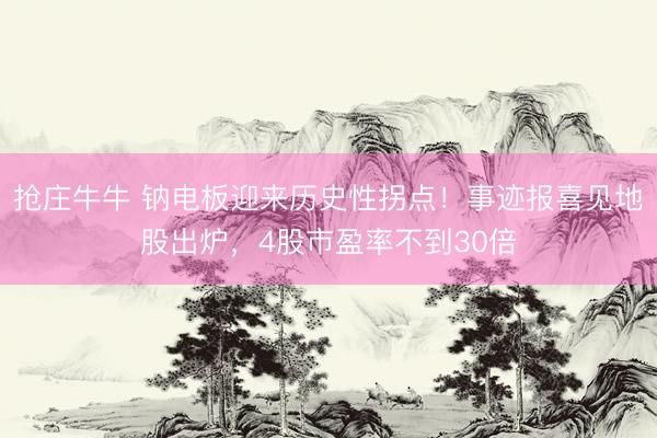 抢庄牛牛 钠电板迎来历史性拐点！事迹报喜见地股出炉，4股市盈率不到30倍