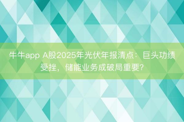 牛牛app A股2025年光伏年报清点：巨头功绩受挫，储能业务成破局重要？