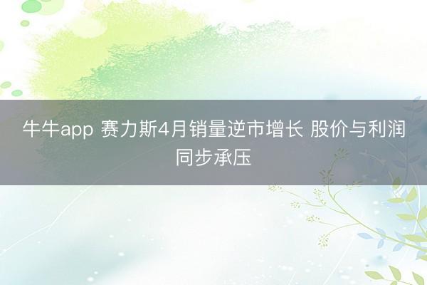 牛牛app 赛力斯4月销量逆市增长 股价与利润同步承压