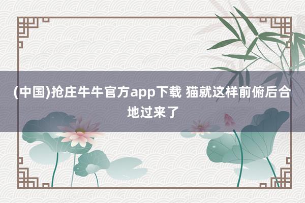 (中国)抢庄牛牛官方app下载 猫就这样前俯后合地过来了