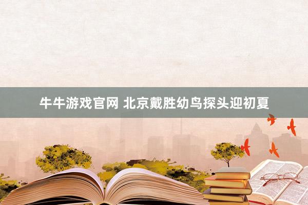 牛牛游戏官网 北京戴胜幼鸟探头迎初夏