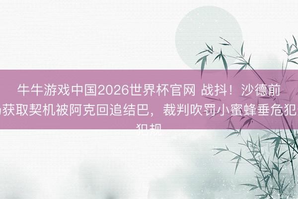 牛牛游戏中国2026世界杯官网 战抖！沙德前场获取契机被阿克回追结巴，裁判吹罚小蜜蜂垂危犯规