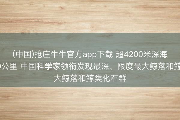 (中国)抢庄牛牛官方app下载 超4200米深海绵延1200公里 中国科学家领衔发现最深、限度最大鲸落和鲸类化石群